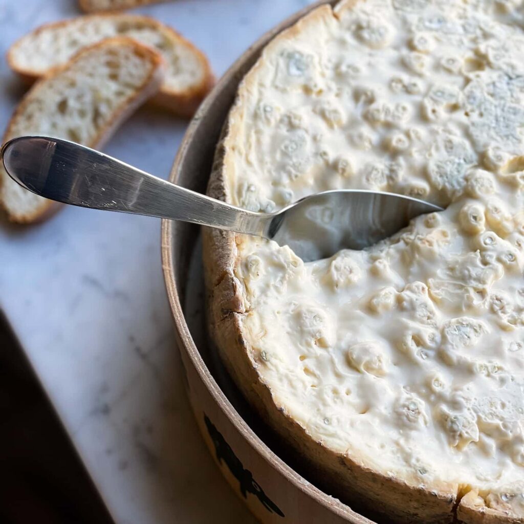 Gorgonzola al cucchiaio